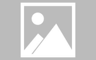 德州论文网站建设（网站建设的论文）